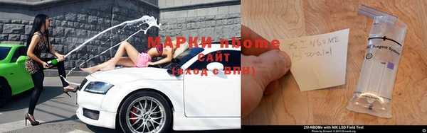 прущие грибы Бронницы