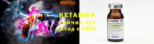 прущие грибы Бронницы