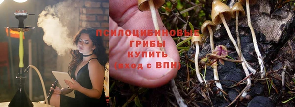 прущие грибы Бронницы