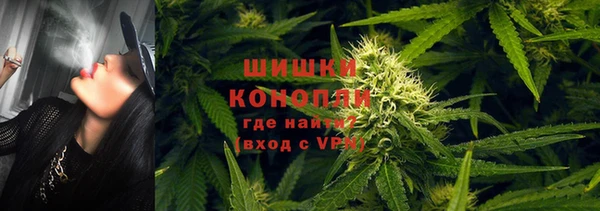 мескалин Богданович