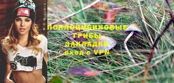 прущие грибы Бронницы