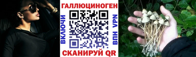Псилоцибиновые грибы мицелий  цены наркотик  Гатчина 
